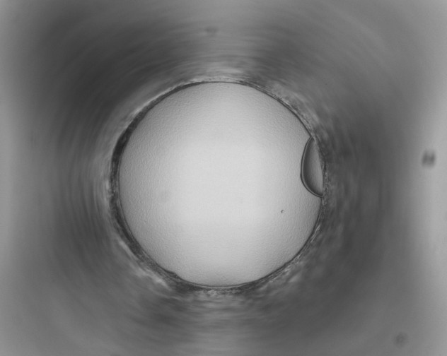 X0000097650338200803211901