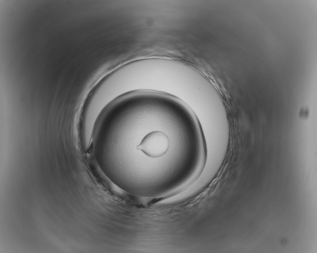 X0000097650340200803211901