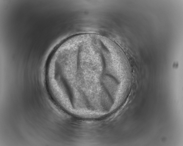 X0000097650342200803211901