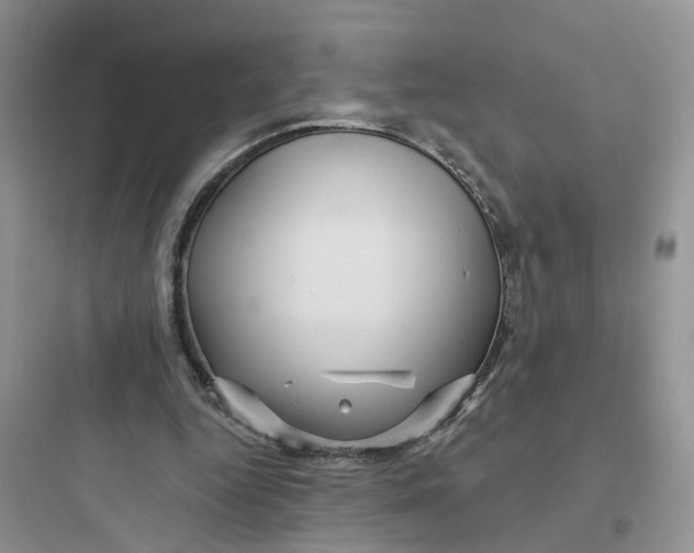 X0000097650344200803211901