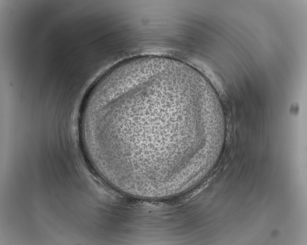 X0000097650346200803211901