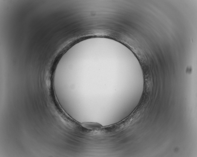 X0000097650350200803211901