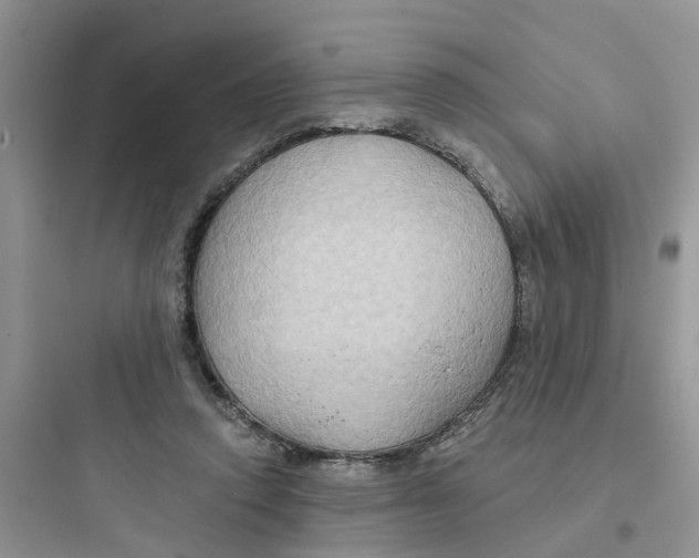 X0000097650354200803211901