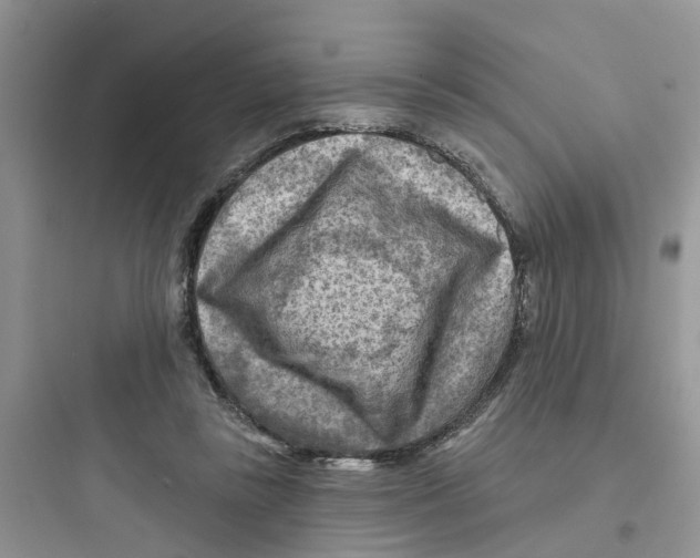 X0000097650355200803211901