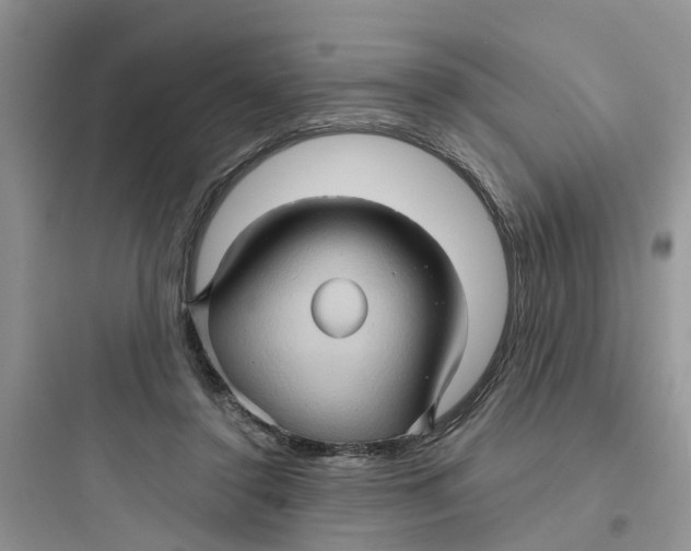 X0000097650356200803211901