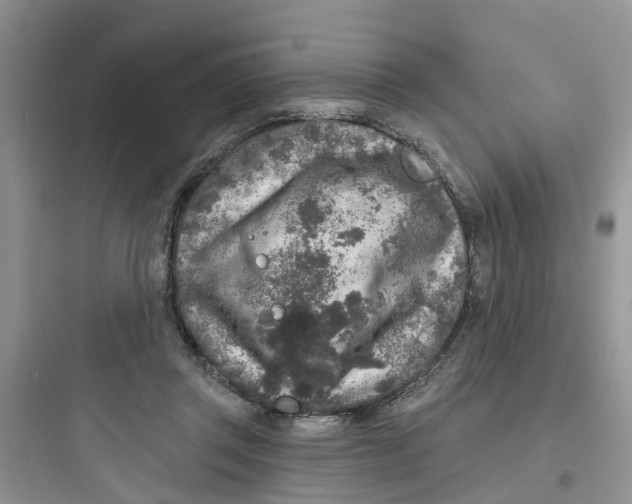 X0000097650357200803211901