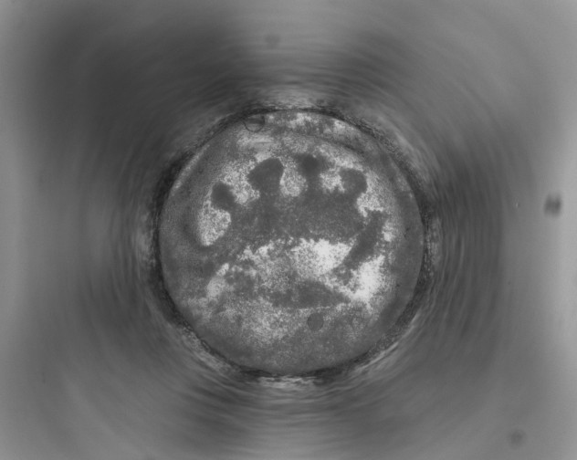 X0000097650359200803211901