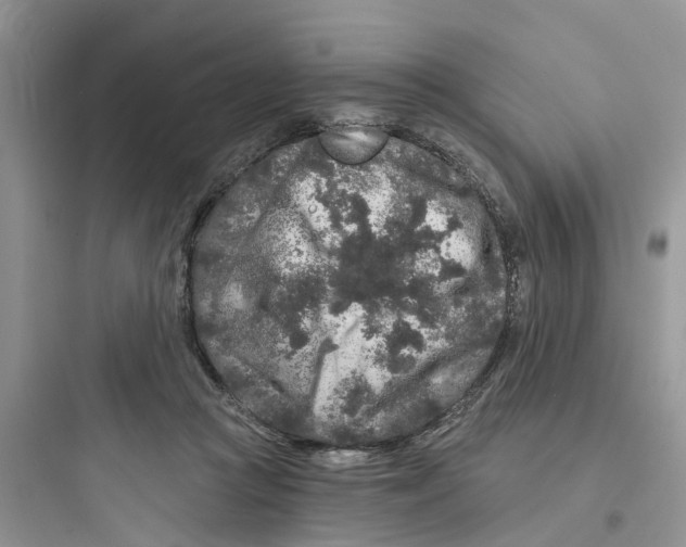 X0000097650361200803211901