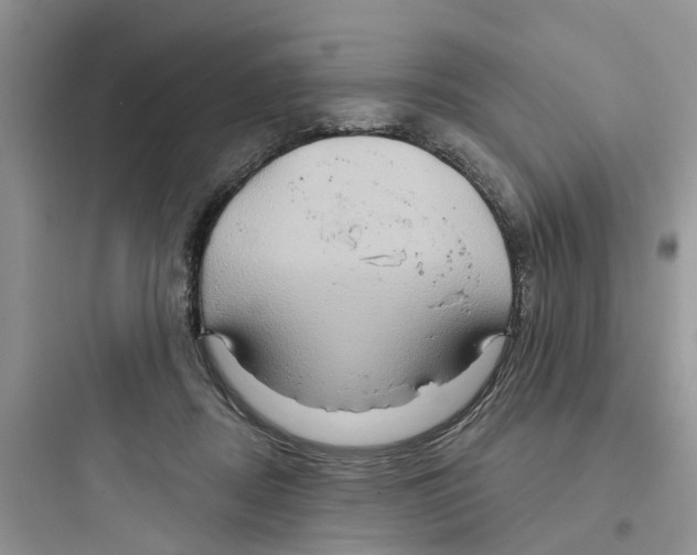 X0000097650362200803211901