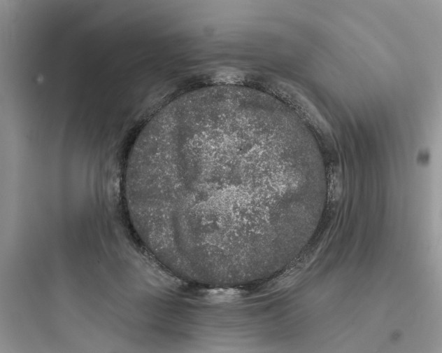 X0000097650363200803211901