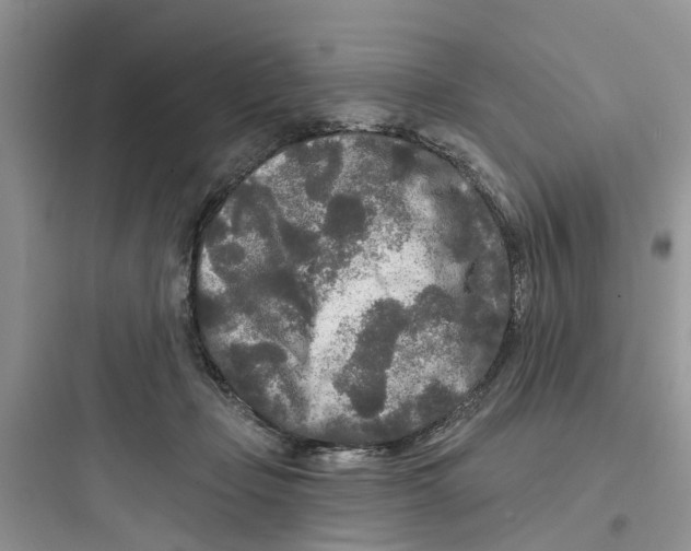 X0000097650365200803211901