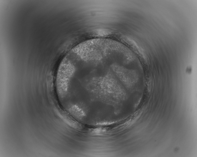 X0000097650366200803211901