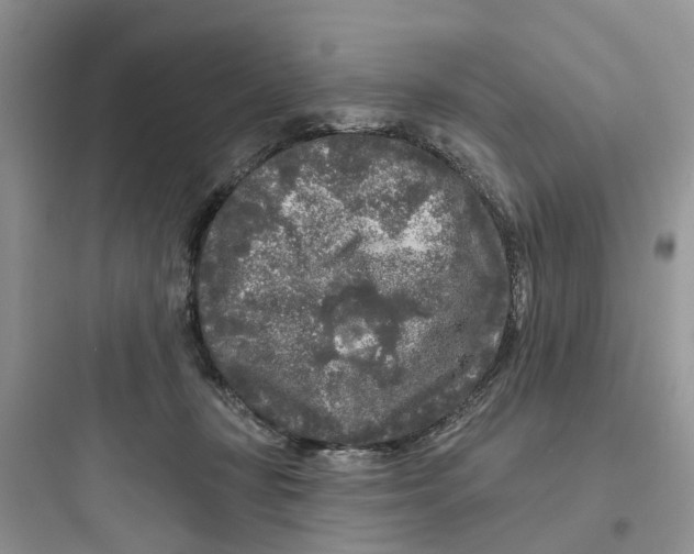 X0000097650367200803211901