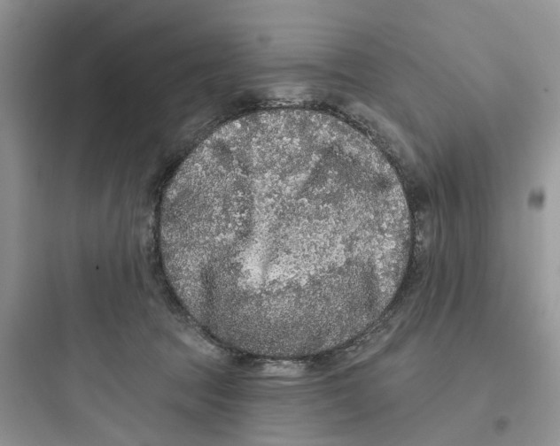 X0000097650369200803211901