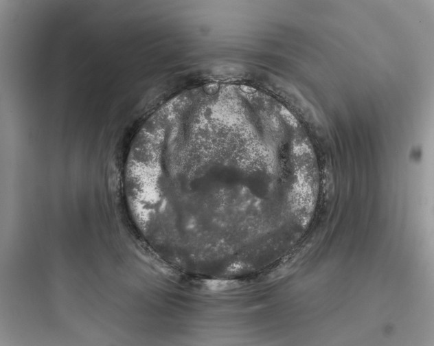 X0000097650371200803211901