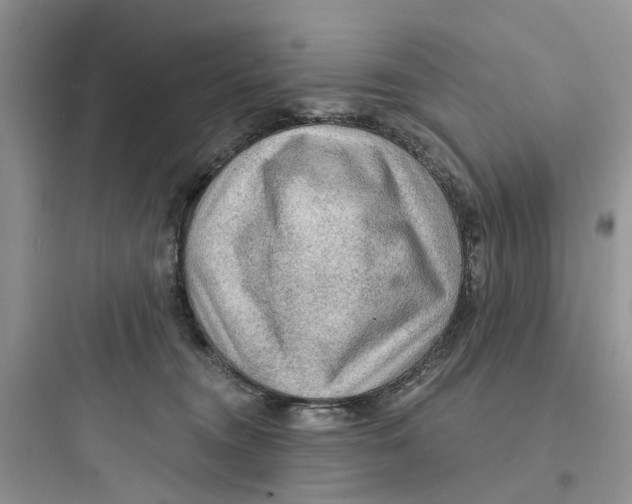 X0000097650372200803211901