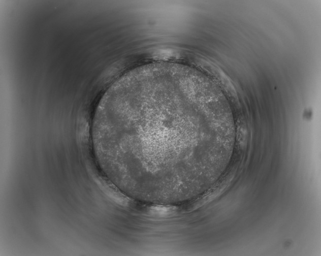 X0000097650375200803211901