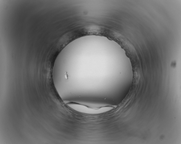 X0000097650379200803211901