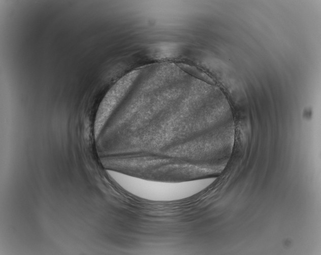 X0000097650380200803211901