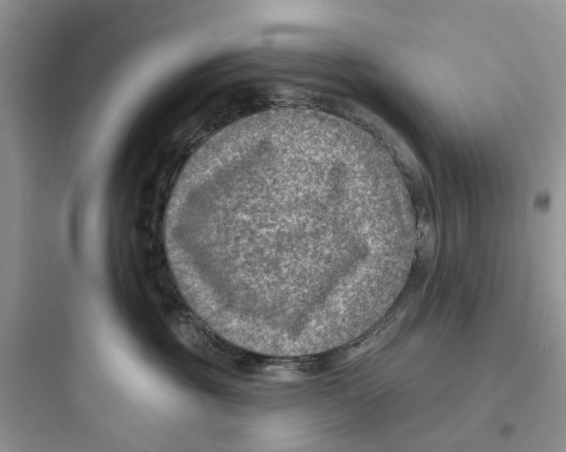 X0000097650381200803211901