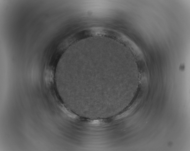 X0000097650382200803211901