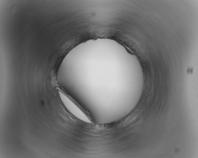 X0000097650384200803211901