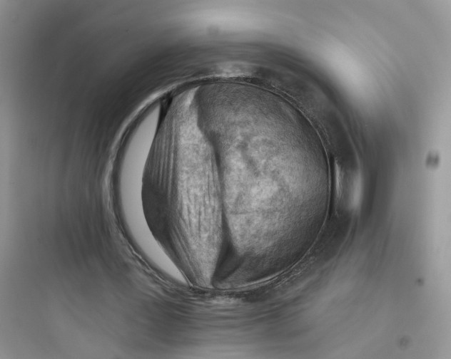 X0000097650387200803211901