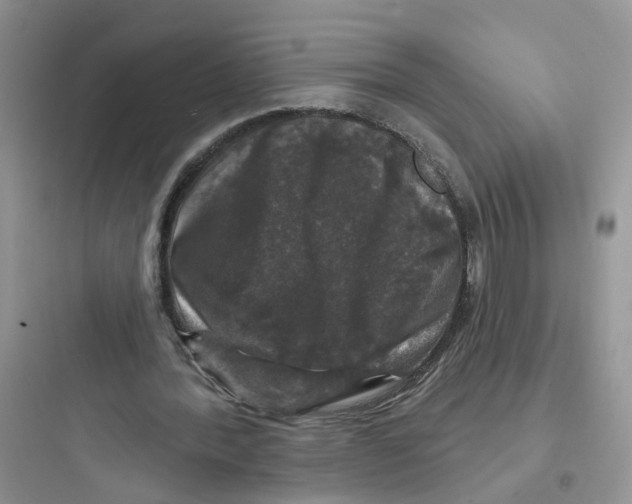 X0000097650388200803211901