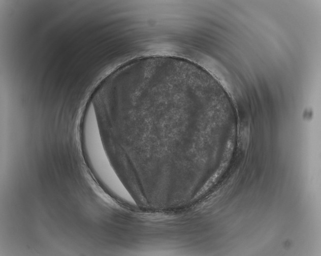 X0000097650389200803211901