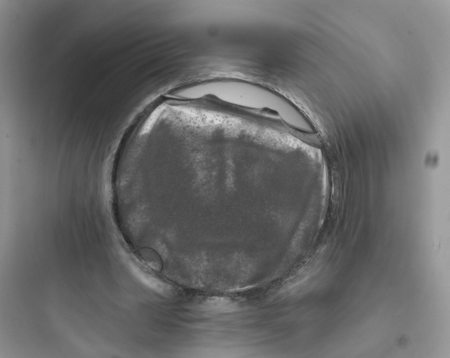 X0000097650390200803211901