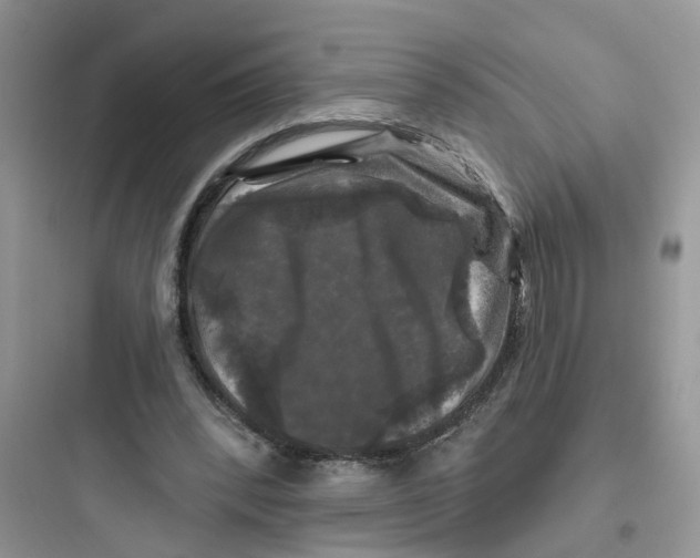 X0000097650392200803211900