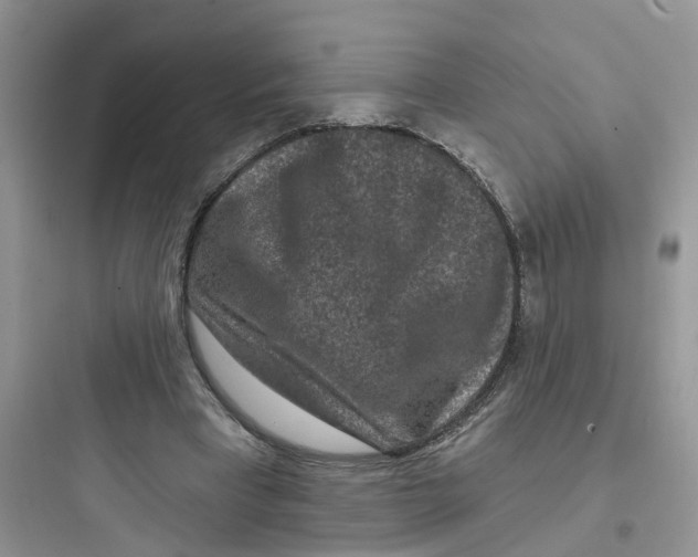 X0000097650393200803211900