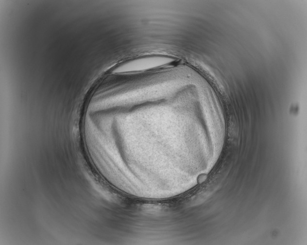 X0000097650394200803211900