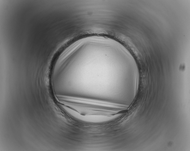 X0000097650395200803211900