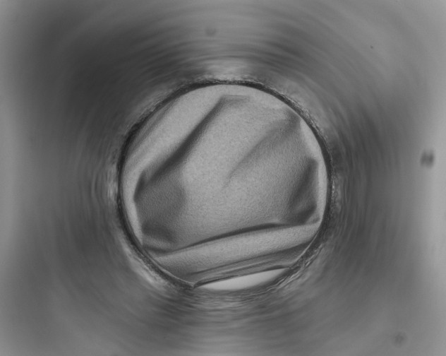 X0000097650397200803211900