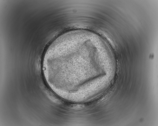 X0000097650398200803211900