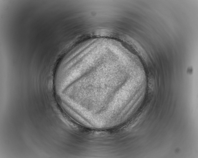 X0000097650401200803211900