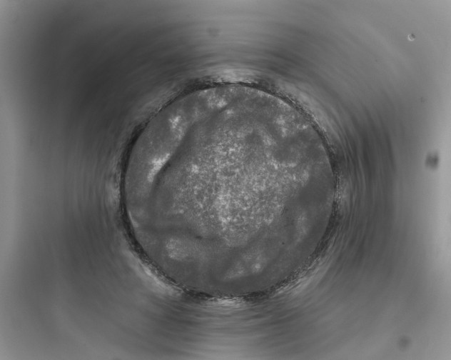 X0000097650402200803211900