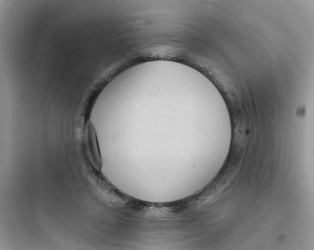 X0000097650403200803211900