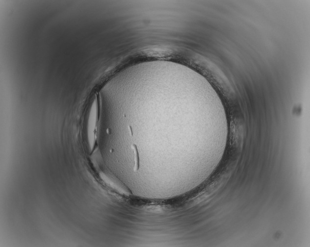 X0000097650404200803211900