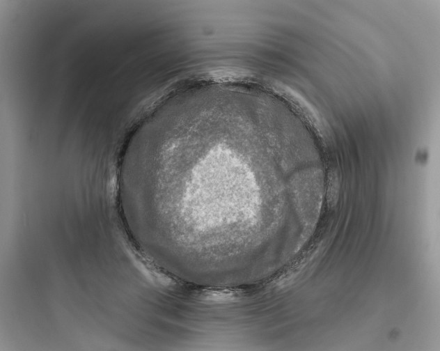 X0000097650405200803211900