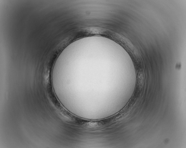 X0000097650406200803211900