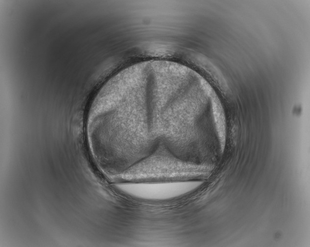 X0000097650407200803211900