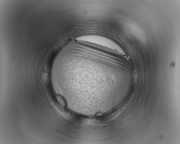 X0000097650408200803211900