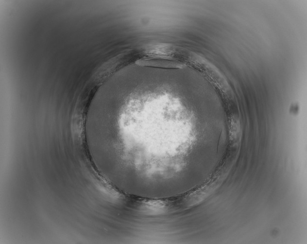 X0000097650409200803211900