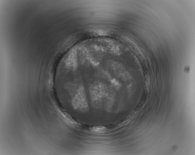 X0000097650410200803211900