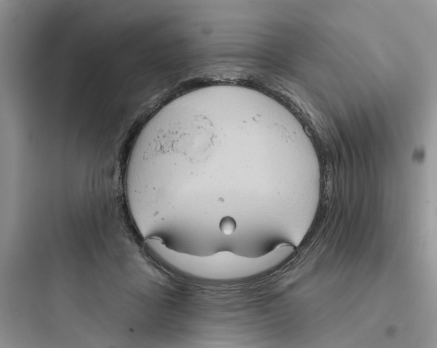 X0000097650411200803211900