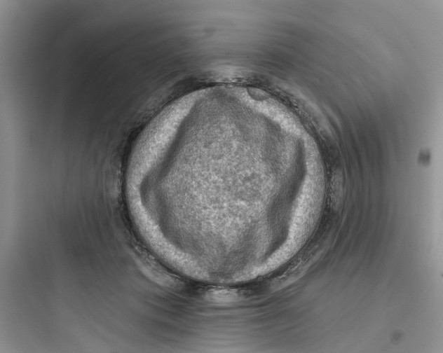 X0000097650413200803211900