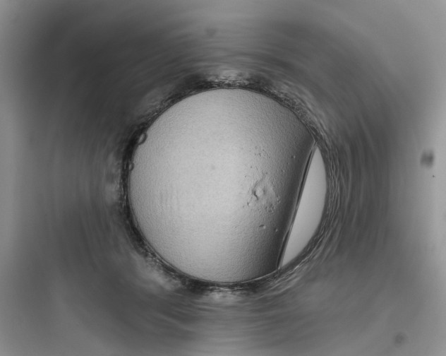 X0000097650416200803211900