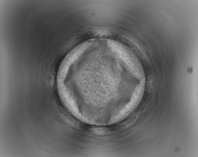 X0000097650417200803211900